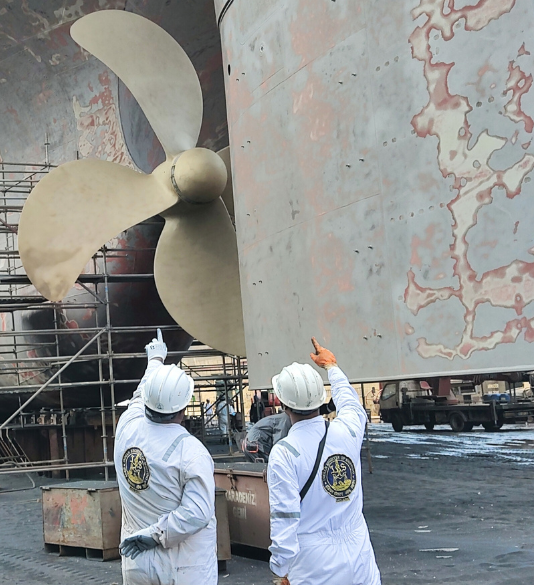 Ship Surveys including Hull(ESP) surveys & Certificates: Class and ...